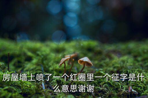 墻上印征收是什么意思，房屋墻上噴了一個(gè)紅圈里一個(gè)征字是什么意思謝謝