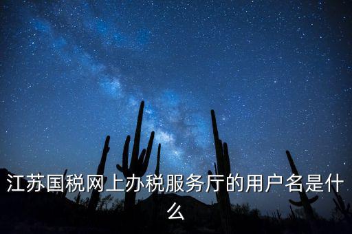 江蘇國稅用戶名密碼是什么，江蘇國稅網(wǎng)上辦稅服務(wù)廳的用戶名是什么