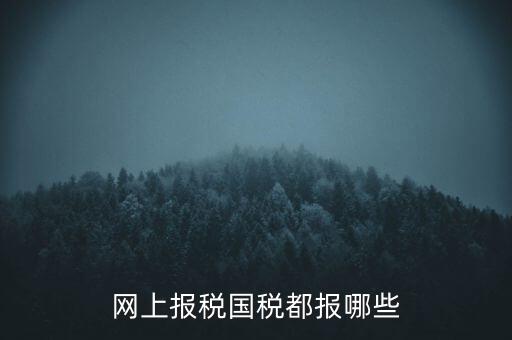 國(guó)稅云辦稅廳都報(bào)什么，你好我是新手我想問(wèn)一下前輩國(guó)稅每月季年都報(bào)什么報(bào)表