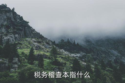 什么叫稅務(wù)稽查檢查科臺(tái)帳范本，稅務(wù)稽查本指什么