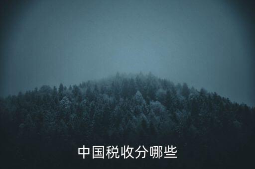 中國稅收分哪些