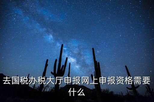 去國稅辦稅大廳申報網(wǎng)上申報資格需要什么