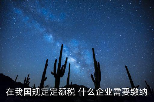 在我國規(guī)定定額稅 什么企業(yè)需要繳納