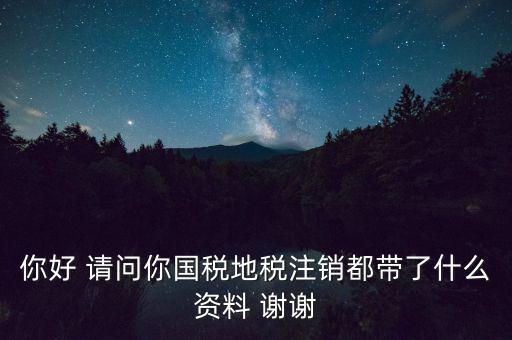 注銷稅盤都帶什么資料，稅務注銷都需要什么資料啊