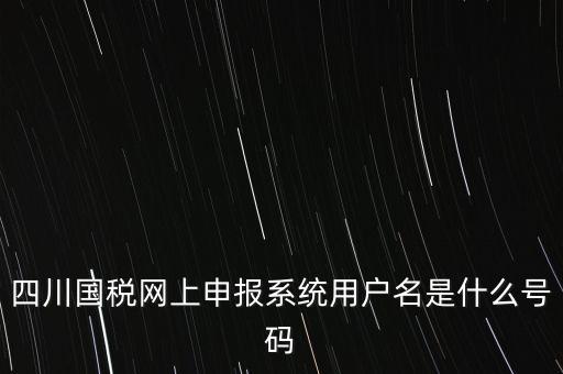 四川省地方稅務(wù)局登錄賬號(hào)是什么，在網(wǎng)上報(bào)稅登陸時(shí)用戶名是什么