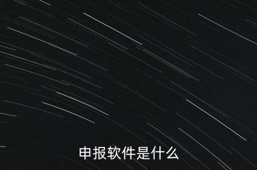 增值稅申報用什么軟件，申報軟件是什么