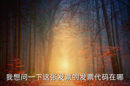 我想問(wèn)一下這張發(fā)票的發(fā)票代碼在哪