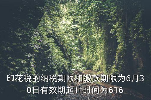 繳款期限什么意思，滯納金是什么意思