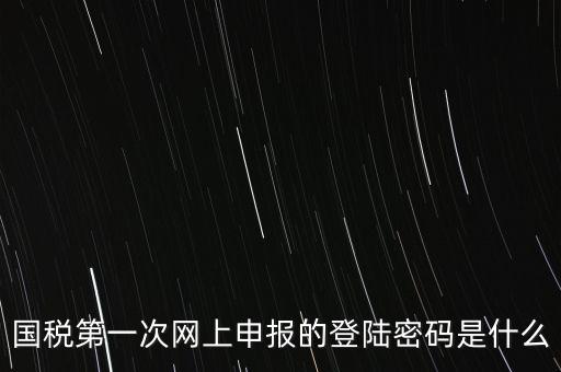 國稅的登錄密碼是什么，國稅第一次網上申報的登陸密碼是什么