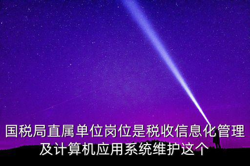 國(guó)稅局直屬單位崗位是稅收信息化管理及計(jì)算機(jī)應(yīng)用系統(tǒng)維護(hù)這個(gè)