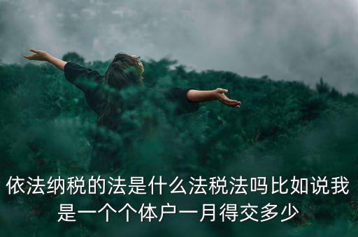 什么是依法納稅人，依法納稅的法是什么法稅法嗎比如說(shuō)我是一個(gè)個(gè)體戶一月得交多少