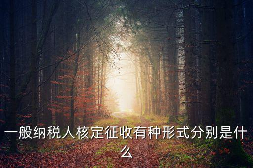 國稅函調(diào)是什么形式，國稅函調(diào)系統(tǒng)可以發(fā)起普通發(fā)票協(xié)查嗎