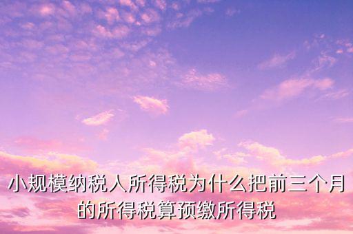 為什么會有預繳所得稅，我企業(yè)是今年1月被稅局核定按收入繳納企業(yè)所得稅 為什么第一季度報