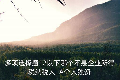 什么納稅人，多項(xiàng)選擇題12以下哪個(gè)不是企業(yè)所得稅納稅人  A個(gè)人獨(dú)資