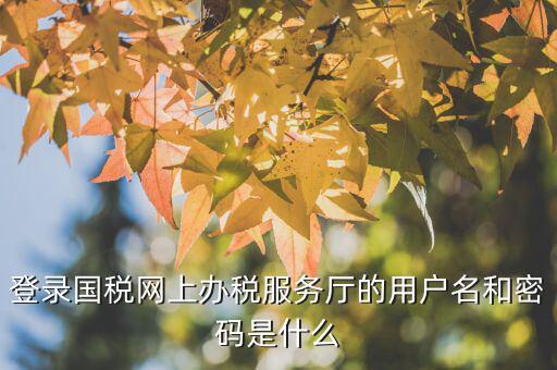 江蘇國稅電子稅務(wù)局登錄用戶名是什么，江蘇國稅網(wǎng)上辦稅服務(wù)廳的用戶名是什么