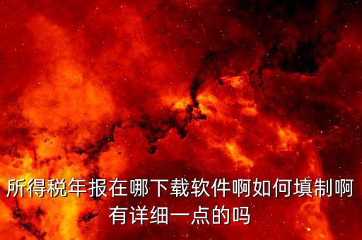 長春國稅需要下載什么，長春市個人所得稅軟件在哪里下載怎么使用啊