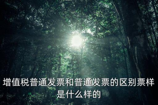 增值稅普通發(fā)票和普通發(fā)票的區(qū)別票樣是什么樣的