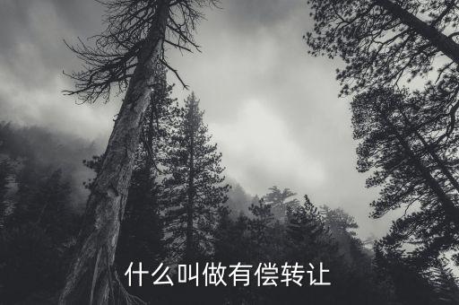 有償轉(zhuǎn)移安置什么意思，有償轉(zhuǎn)發(fā)什么意思