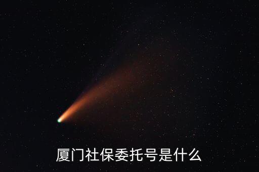 地稅社保委托號是什么，三證合一后去地稅局打社保單子說是與社保局的納稅人識別號不一