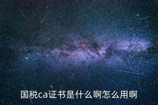 報稅的ca證書什么樣，稅務ca是什么意思是聯(lián)通ca證書嗎