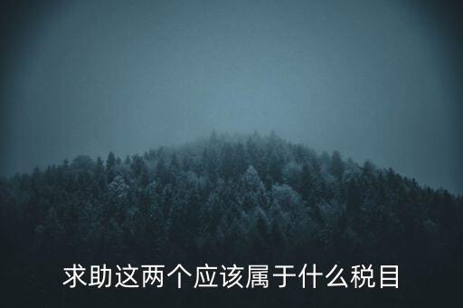 求助這兩個應(yīng)該屬于什么稅目