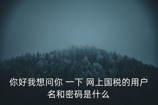 你好我想問你 一下 網(wǎng)上國稅的用戶名和密碼是什么