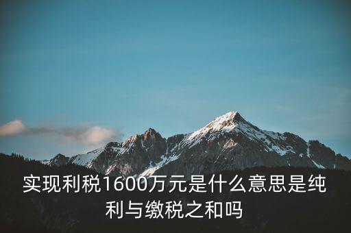 實(shí)時(shí)繳稅是什么意思，實(shí)時(shí)扣稅務(wù)請求3001什么意思