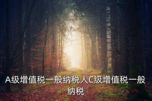 b級(jí)納稅人是什么意思，A級(jí)增值稅一般納稅人C級(jí)增值稅一般納稅