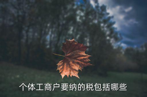 個體需要繳納什么稅，個體工商戶需要交哪些稅