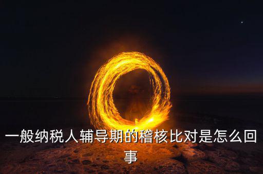 一般納稅人輔導(dǎo)期的稽核比對(duì)是怎么回事