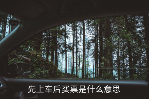 先上車后買票是什么意思