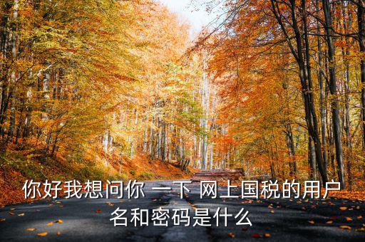 國稅登陸名和密碼是什么意思，國稅第一次網(wǎng)上申報(bào)的登陸密碼是什么