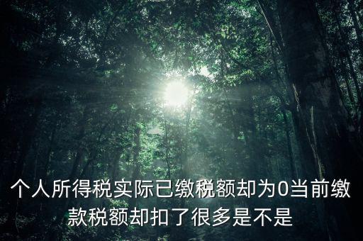 實繳稅額為什么是0，當期的實交增值稅額為0是否進行城建稅的申報什么意思可以不用申報