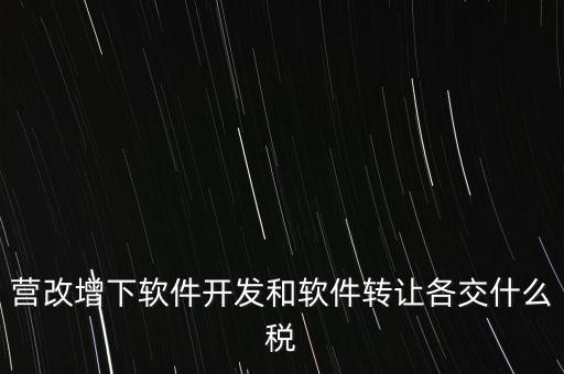 營(yíng)改增下軟件開發(fā)和軟件轉(zhuǎn)讓各交什么稅