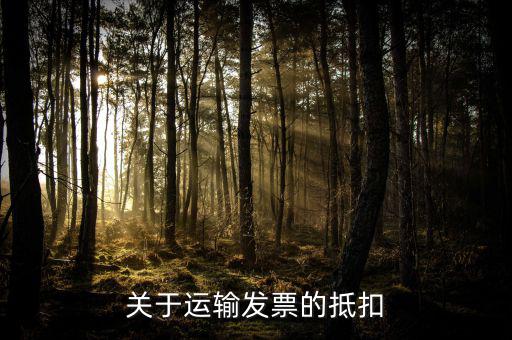 運輸發(fā)票抵什么稅，哪些運費發(fā)票是可以抵扣稅的