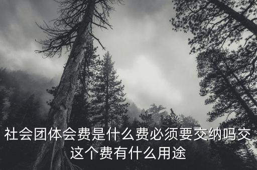 社會團體費是什么，誰知道工商個體協(xié)會社會團體會員費是什么