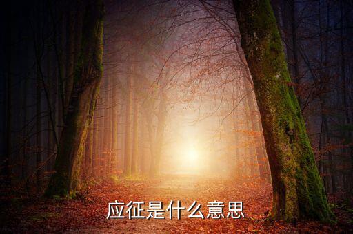 應(yīng)征發(fā)生日期什么意思，應(yīng)征的意思