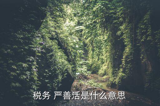 中國稅務(wù)精神是什么意思，稅務(wù)是什么意思啊學(xué)什么內(nèi)容