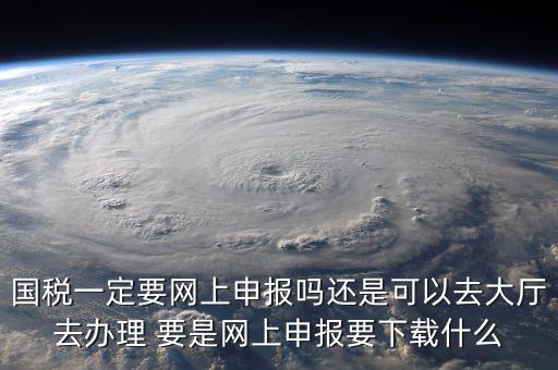 國稅一定要網上申報嗎還是可以去大廳去辦理 要是網上申報要下載什么