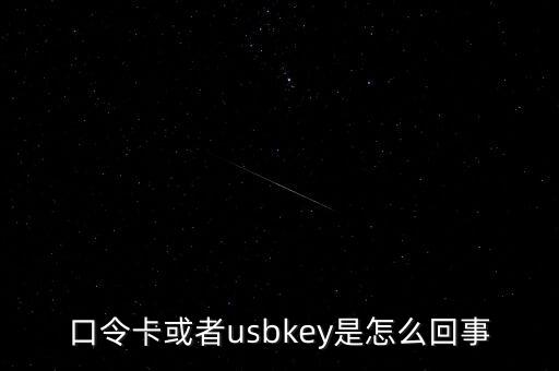 未插usbkey什么意思，口令卡或者usbkey是怎么回事