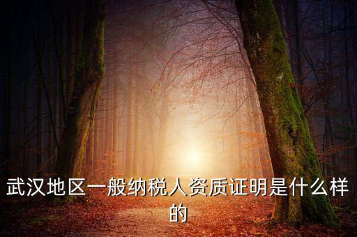 納稅資質證明是什么意思，什么是稅務證明