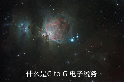 什么叫電子化辦稅，什么是G to G 電子稅務