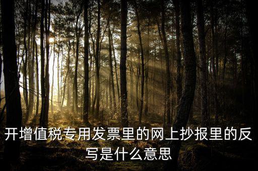 開增值稅專用發(fā)票里的網上抄報里的反寫是什么意思