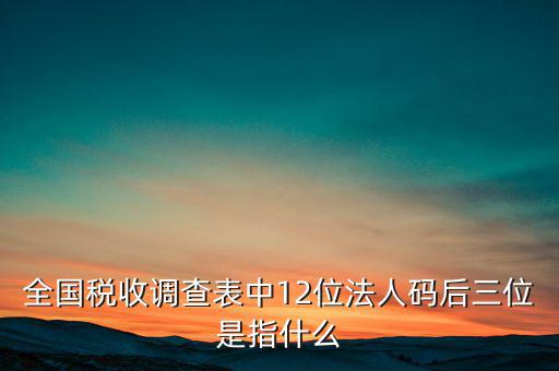 全國稅收調查表中12位法人碼后三位是指什么