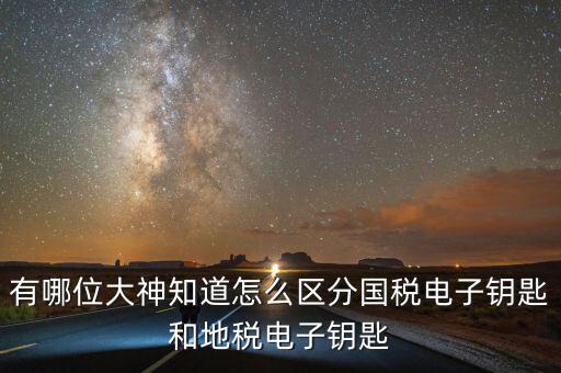 國稅電子鑰匙是什么，稅務(wù)密鑰是什么東西是數(shù)字證書嗎