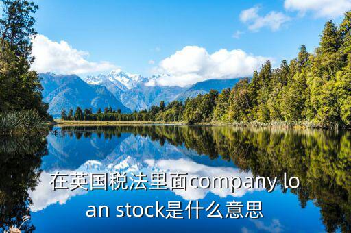 英國(guó)出國(guó)稅 是什么意思，在英國(guó)稅法里面company loan stock是什么意思