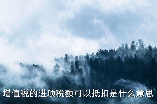 增值稅的進(jìn)項(xiàng)稅額可以抵扣是什么意思