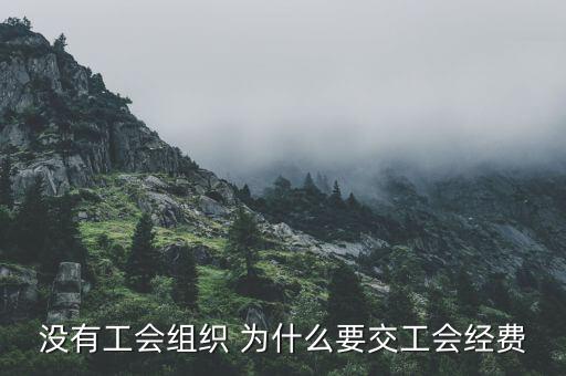 為什么要繳納工會(huì)經(jīng)費(fèi)，什么情況下公司要成立工會(huì)且要交工會(huì)經(jīng)費(fèi)