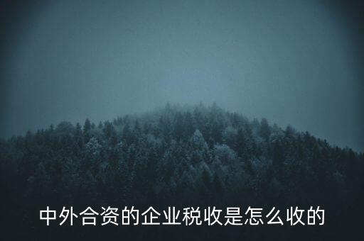 股份合作企業(yè)收什么稅，請問私營合股公司是應(yīng)該繳納個人所得稅還是企業(yè)所得稅還是二者都