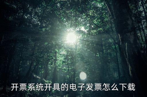 開票系統(tǒng)開具的電子發(fā)票怎么下載